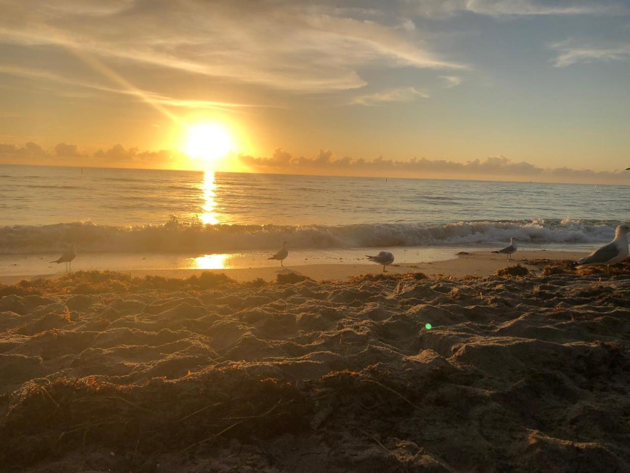 The 925 Ocean Boutique Hotel ディアフィールド・ビーチ エクステリア 写真